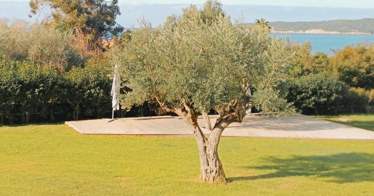 Cargèse Residence Maina מראה חיצוני תמונה